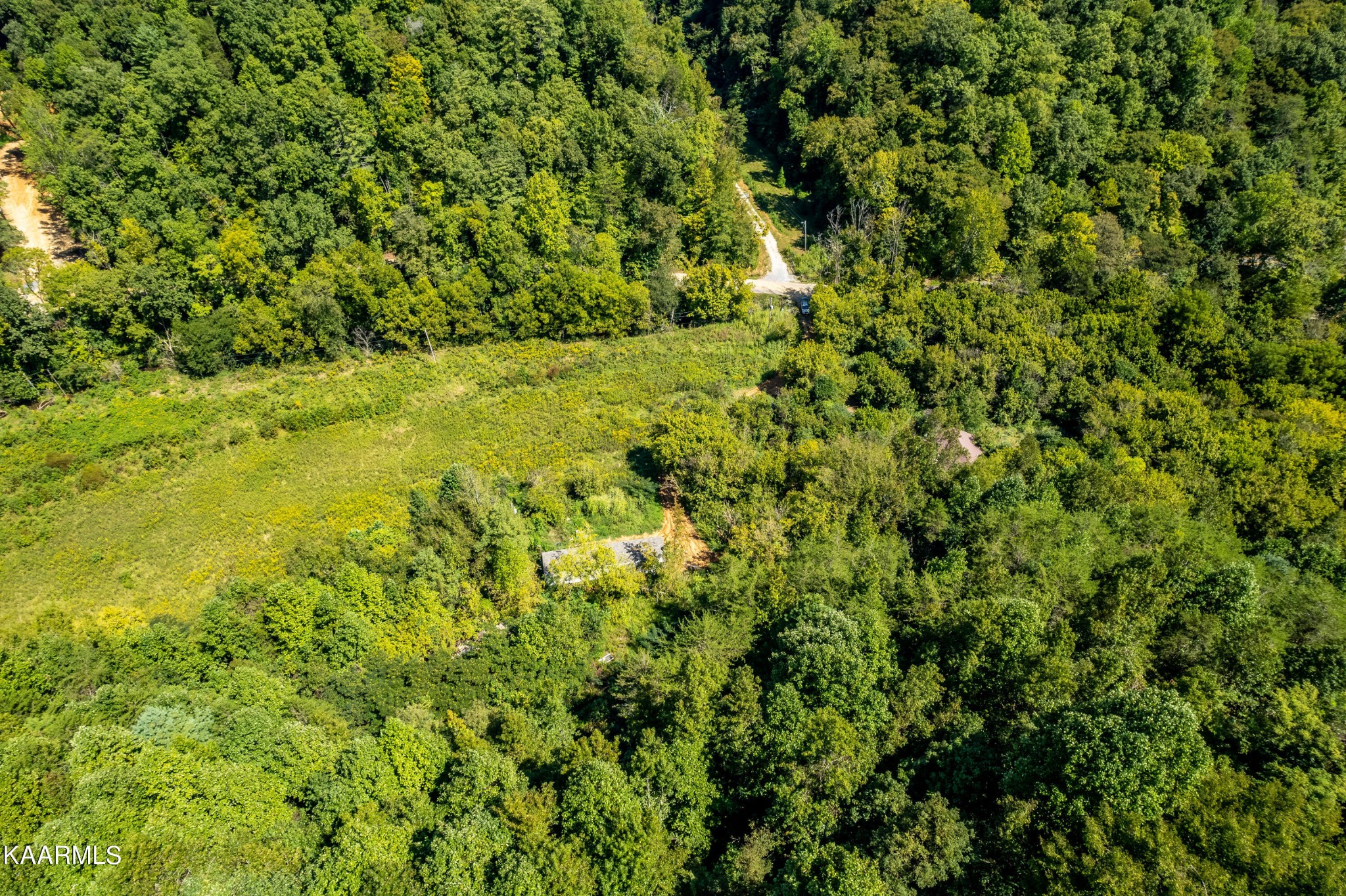 1455 Dripping Springs Road Seymour, TN 37865 - Photo 8 of 15 Gallery Image 8