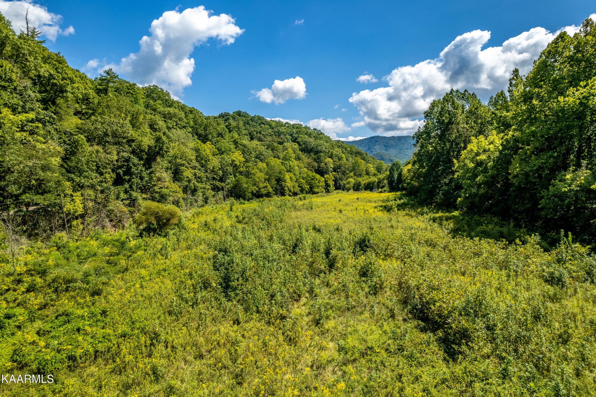 1455 Dripping Springs Road Seymour, TN 37865 - Photo 9 of 15 Gallery Image 9
