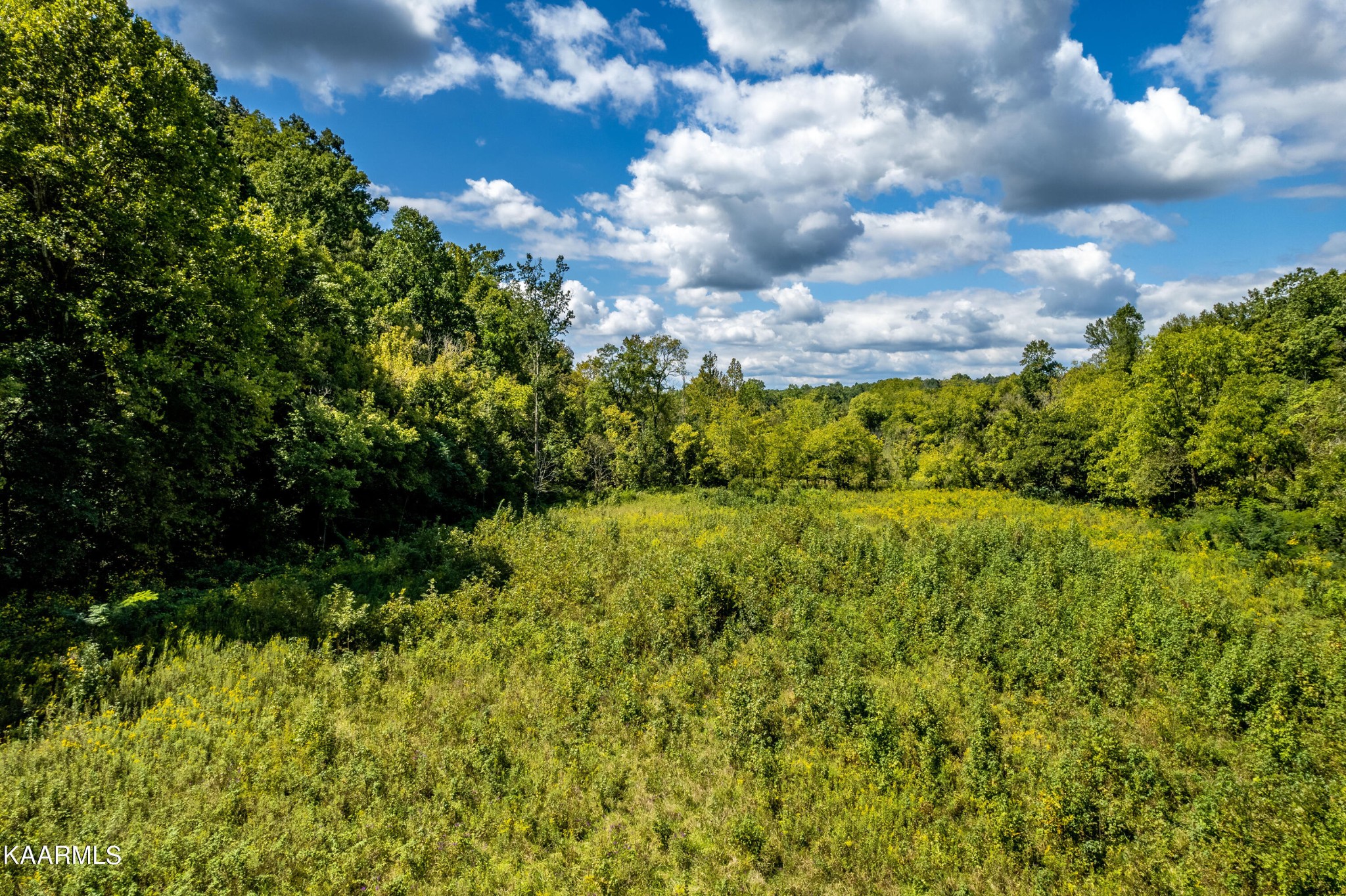 1455 Dripping Springs Road Seymour, TN 37865 - Photo 10 of 15 Gallery Image 10