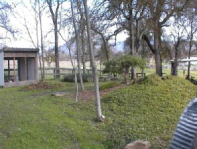 31016 Ruth Hill Road Squaw Valley, CA 93675 - Photo 2 of 2 Gallery Image 2