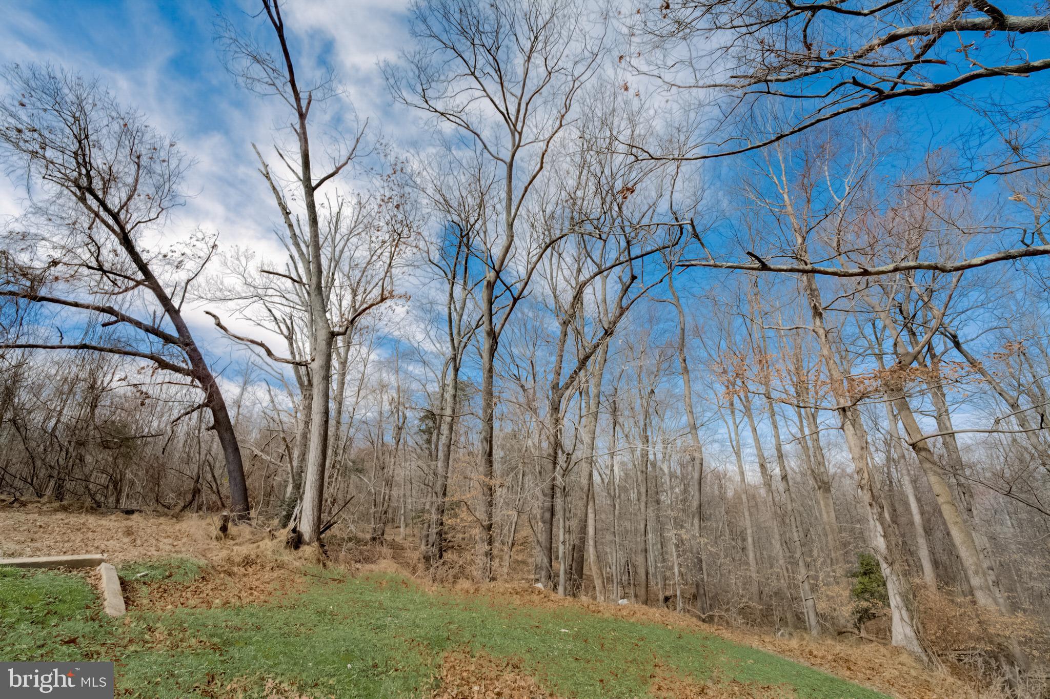 12205 Thrift Road Clinton, MD 20735 - Photo 31 of 33 Gallery Image 31