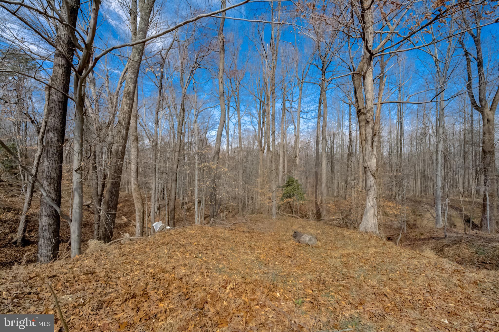 12205 Thrift Road Clinton, MD 20735 - Photo 32 of 33 Gallery Image 32