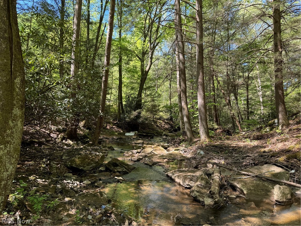 1185 Bens Run Road Sutton, WV 26601 - Photo 23 of 48 View of mother earth's splendor with a water view
