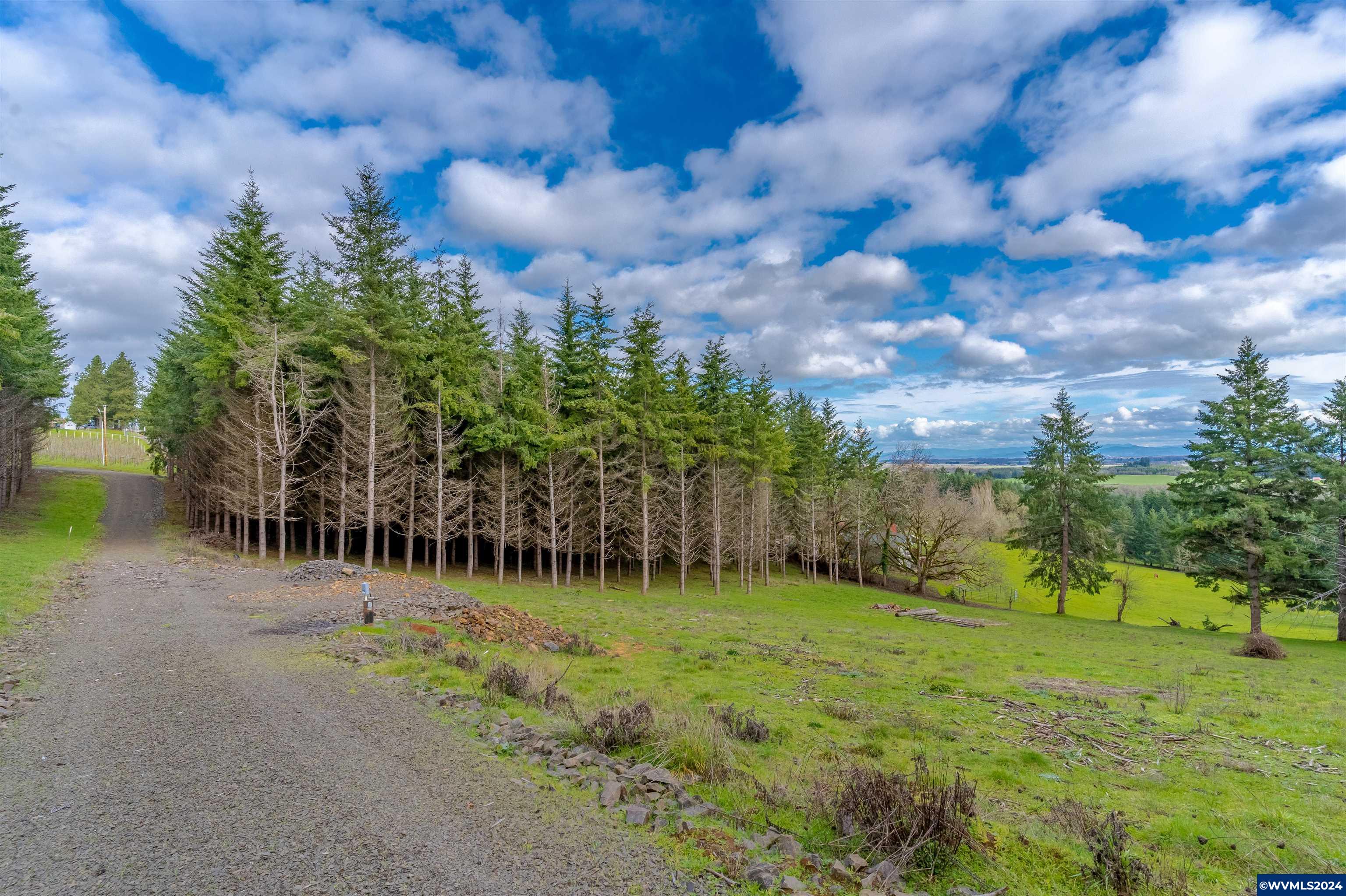 Larson (ta R421034) Road Monroe, OR 97456 - Photo 7 of 30