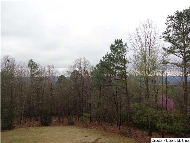 2036 Brook Highland Ridge Birmingham, AL 35242 - Photo 15 of 16