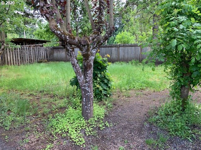 5171 Forsythia Street Springfield, OR 97478 - Photo 18 of 21