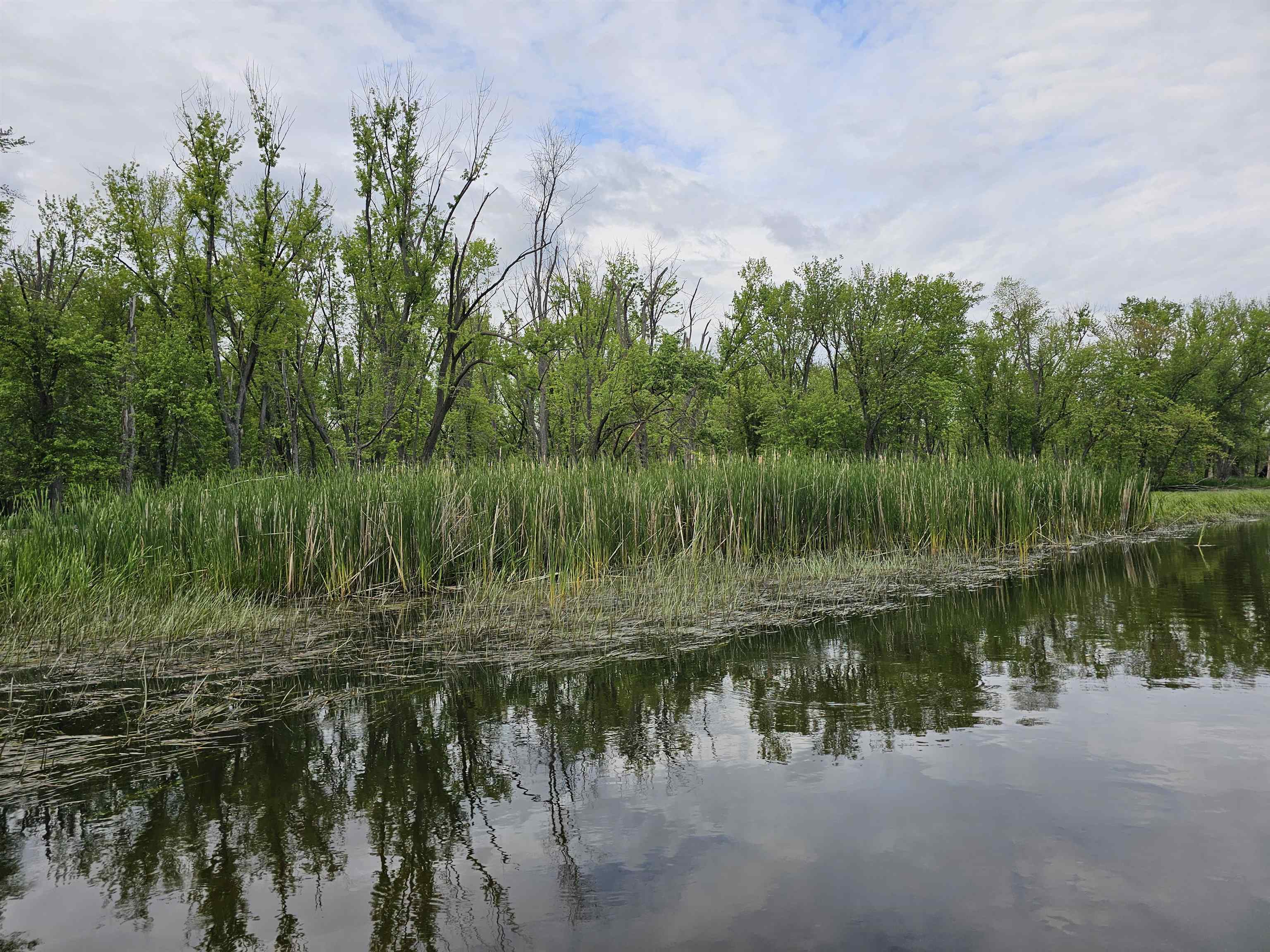Koplien Road Weyauwega, WI 54983 - Photo 12 of 29