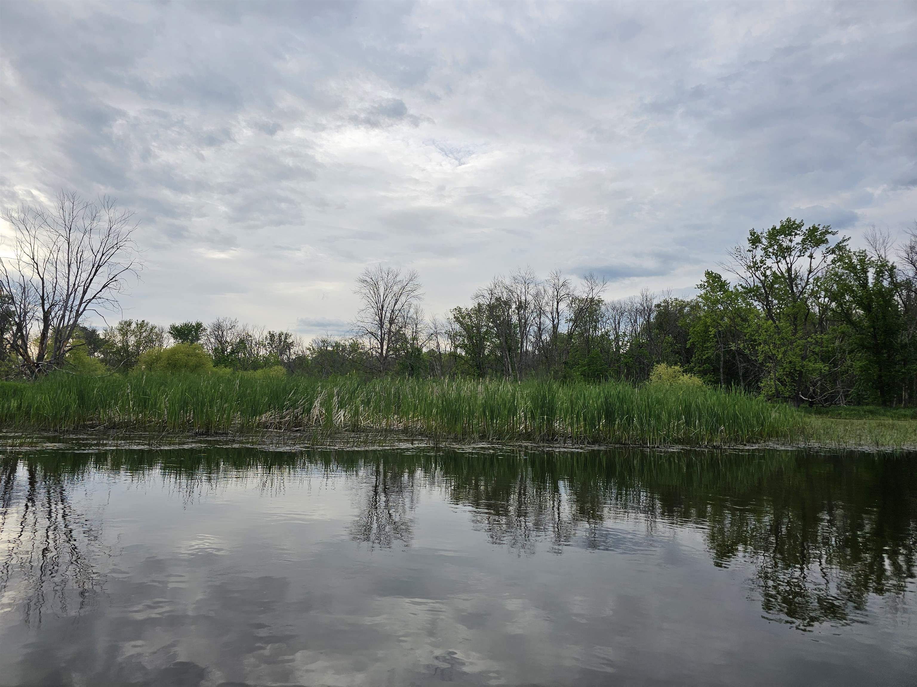 Koplien Road Weyauwega, WI 54983 - Photo 14 of 29