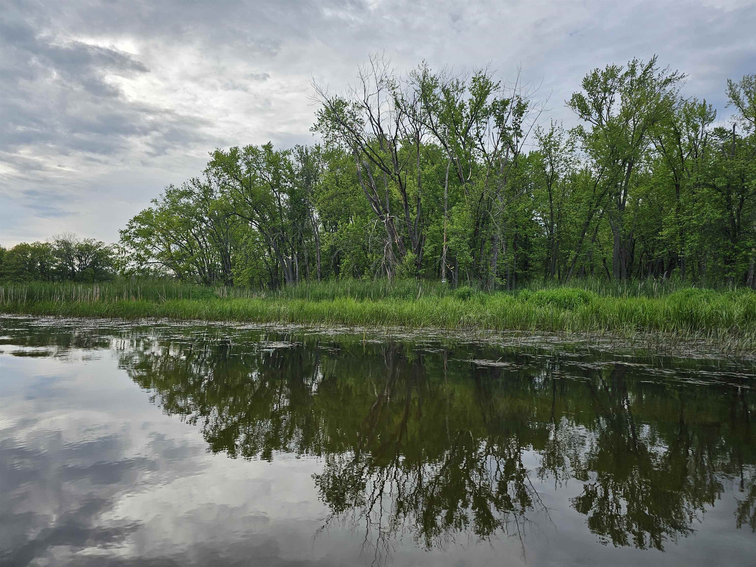 Koplien Road Weyauwega, WI 54983 - Photo 15 of 29