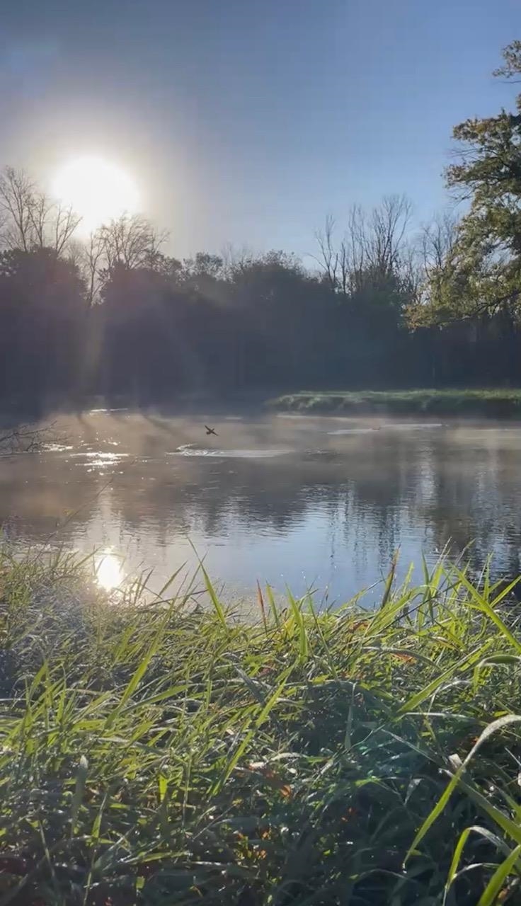 Koplien Road Weyauwega, WI 54983 - Photo 17 of 29