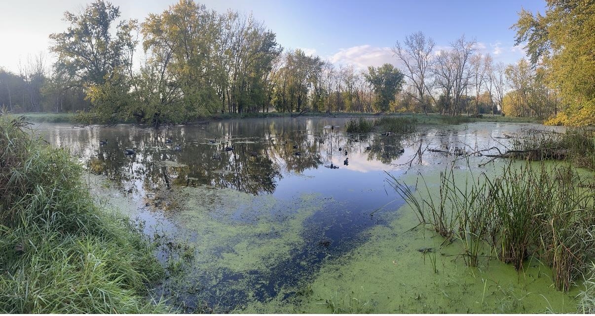 Koplien Road Weyauwega, WI 54983 - Photo 18 of 29