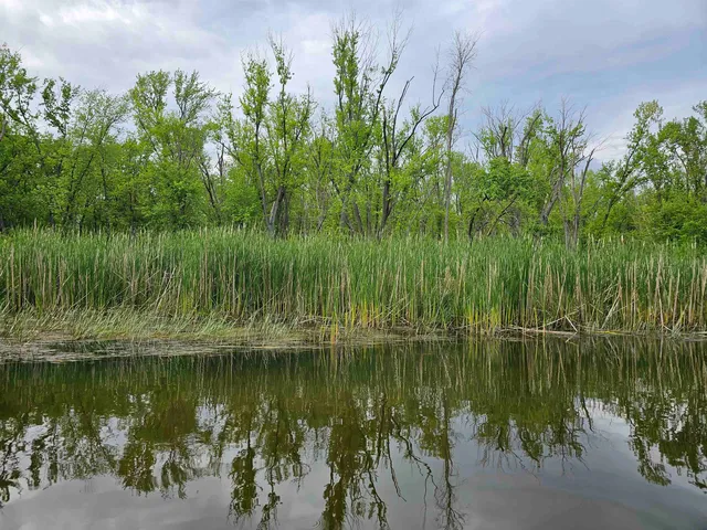 $430,000 | Koplien Road, Weyauwega, WI 54983