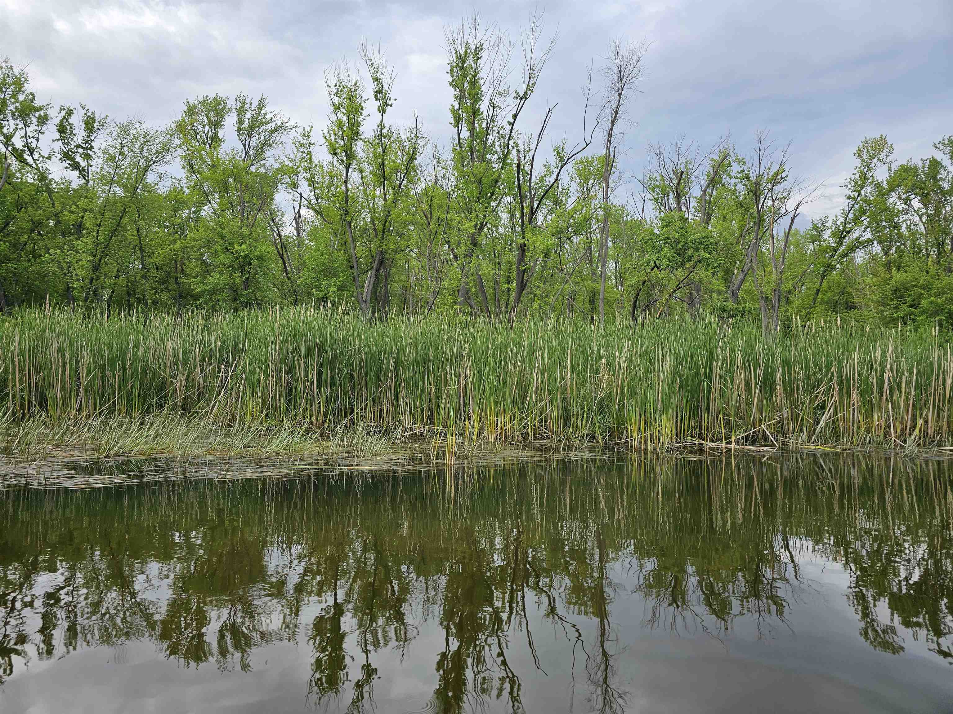 Koplien Road Weyauwega, WI 54983 - Photo 19 of 29