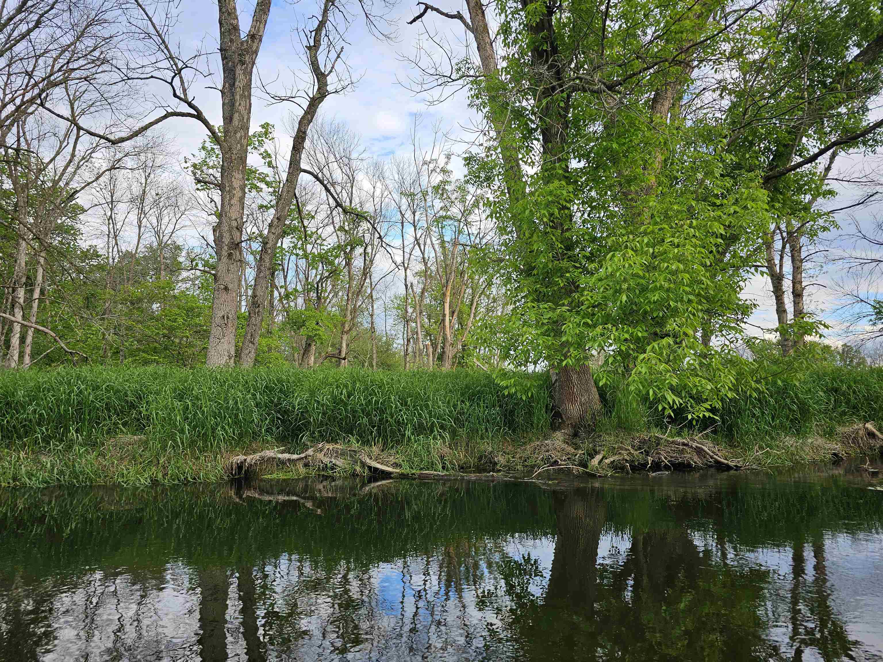 Koplien Road Weyauwega, WI 54983 - Photo 21 of 29