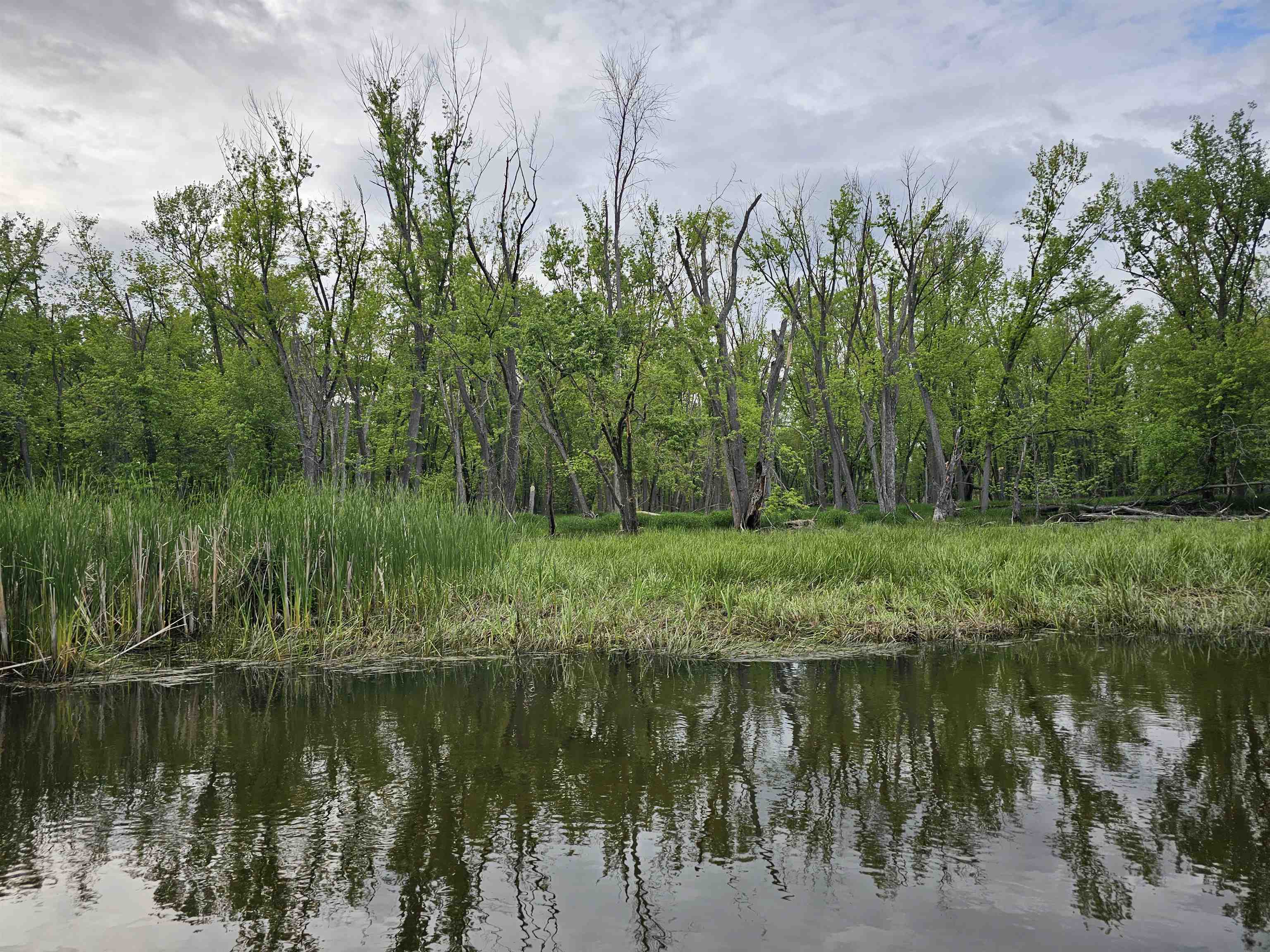 Koplien Road Weyauwega, WI 54983 - Photo 22 of 29
