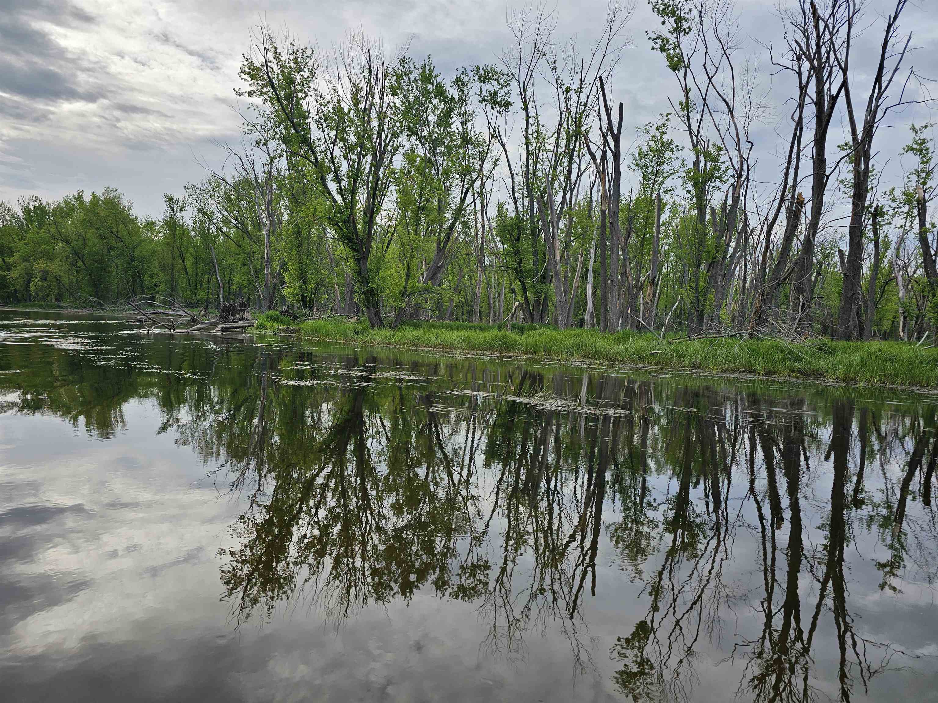 Koplien Road Weyauwega, WI 54983 - Photo 23 of 29