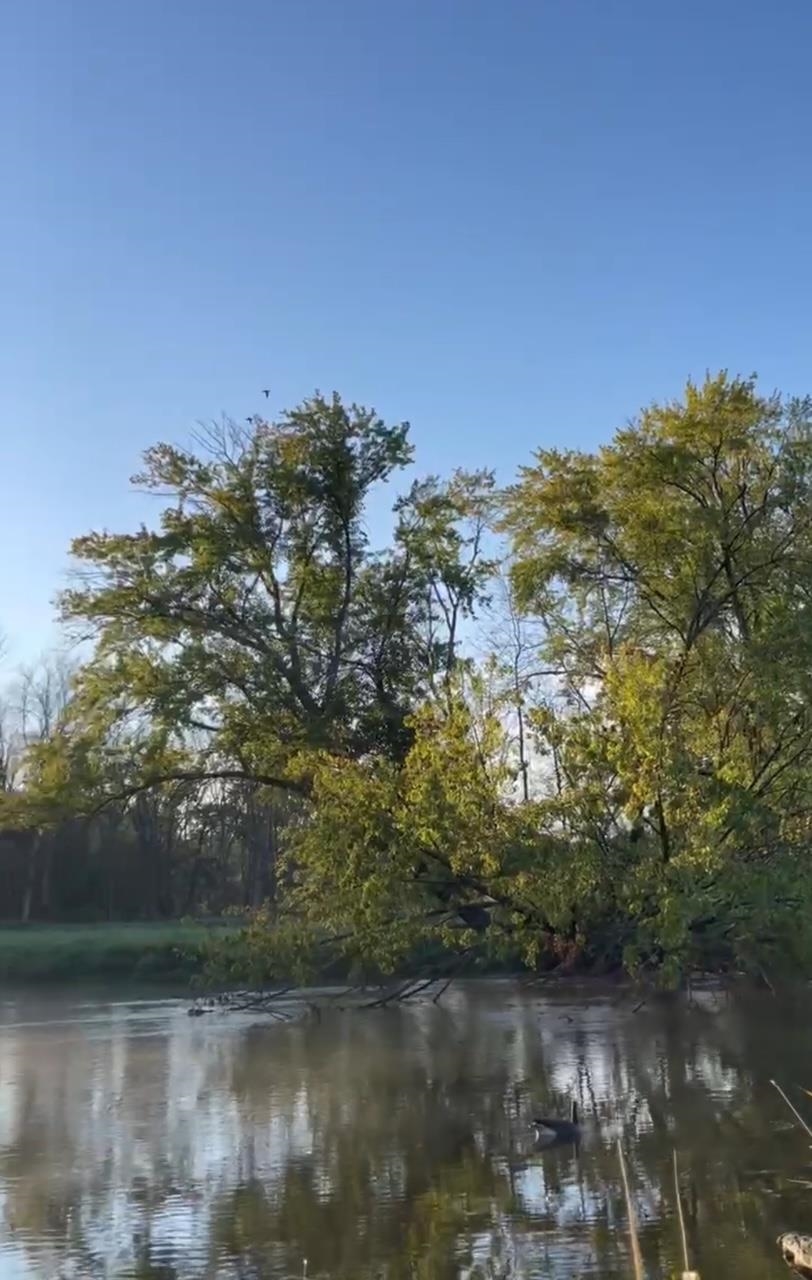 Koplien Road Weyauwega, WI 54983 - Photo 24 of 29