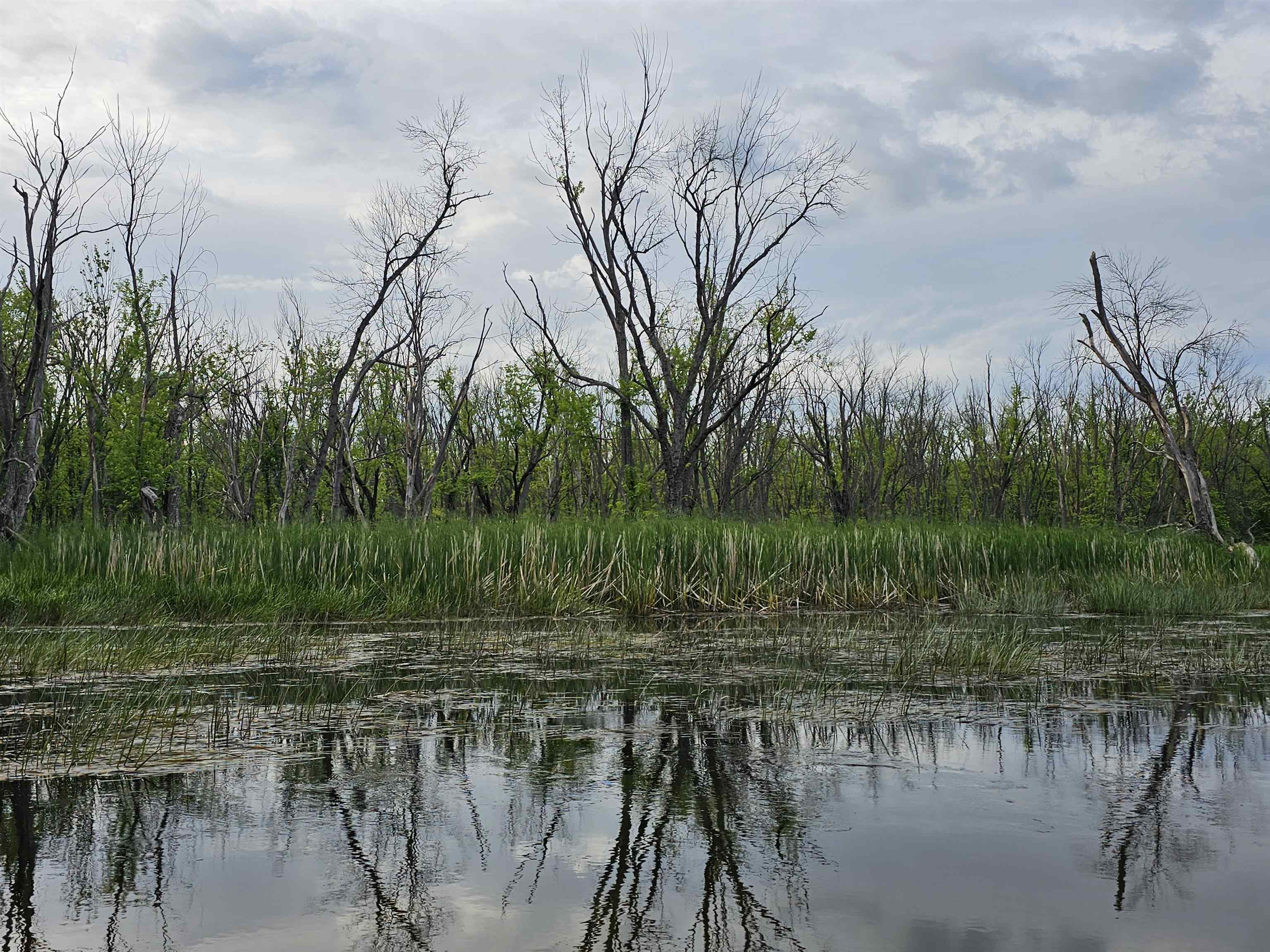 Koplien Road Weyauwega, WI 54983 - Photo 25 of 29