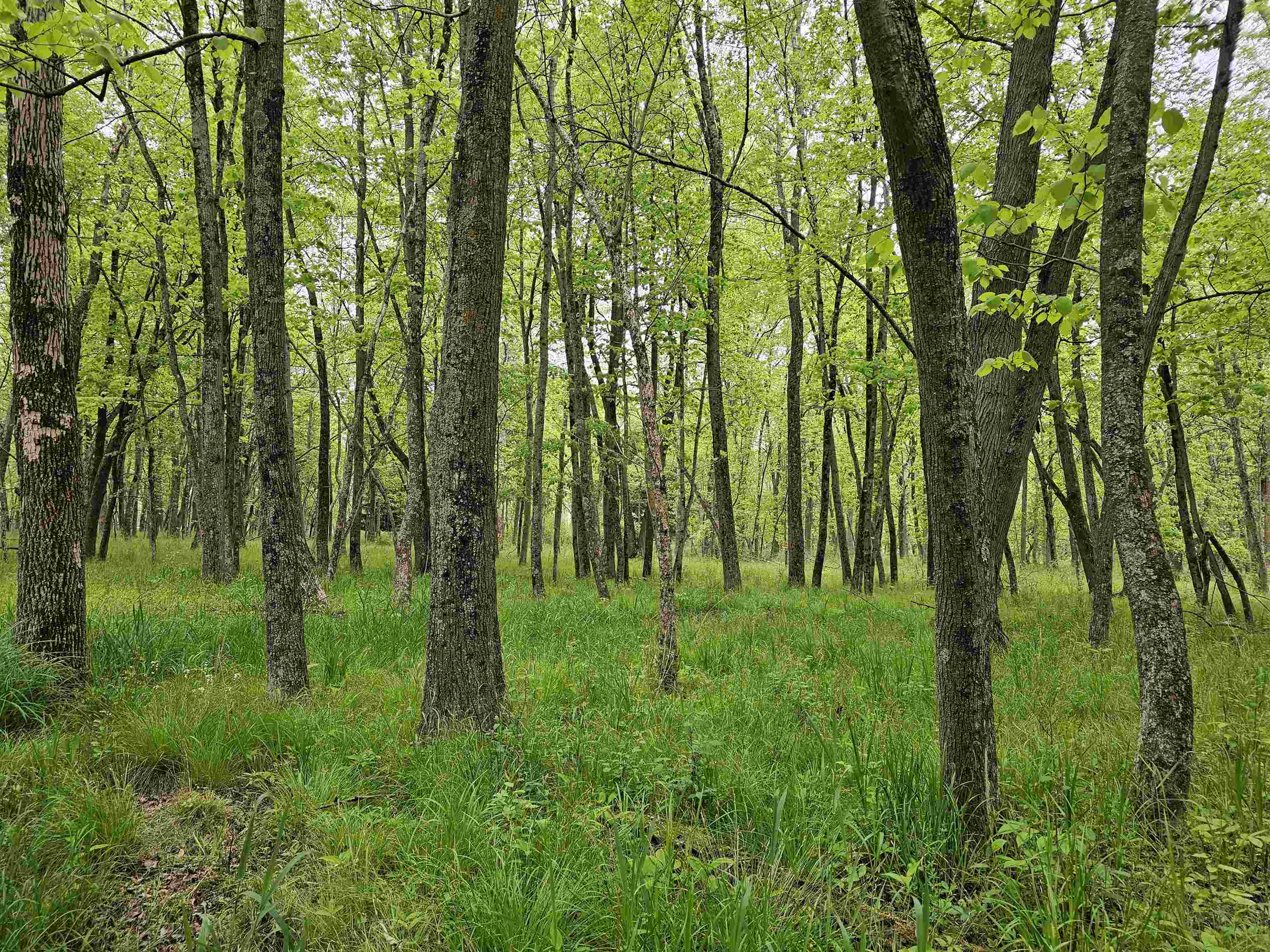 Koplien Road Weyauwega, WI 54983 - Photo 26 of 29