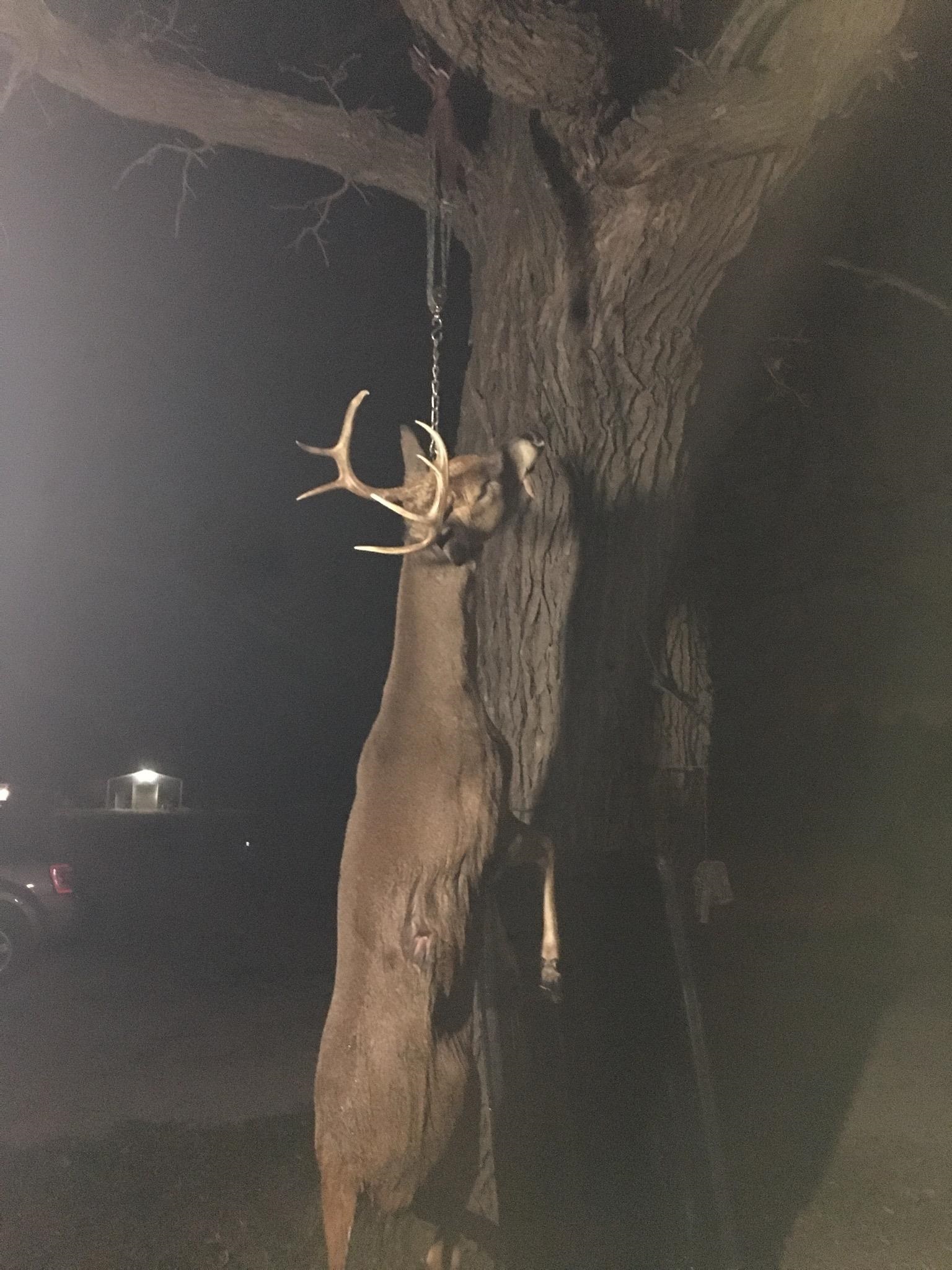 Koplien Road Weyauwega, WI 54983 - Photo 3 of 29