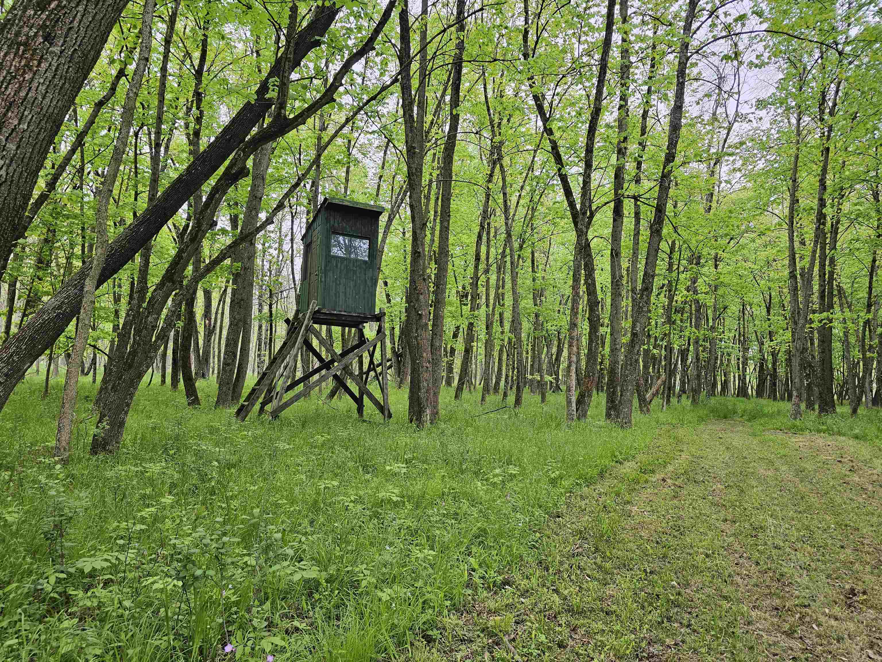 Koplien Road Weyauwega, WI 54983 - Photo 7 of 29