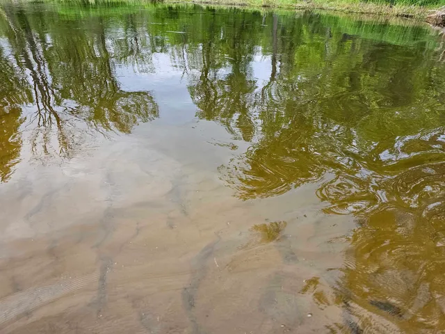 $430,000 | Koplien Road, Weyauwega, WI 54983