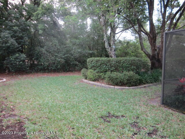 2068 Brigadier Drive Spring Hill, FL 34608 - Photo 36 of 39 IMG_1311