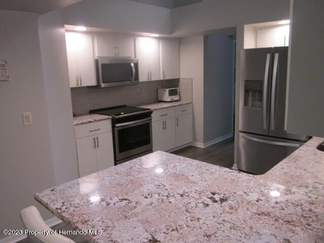 2068 Brigadier Drive Spring Hill, FL 34608 - Photo 7 of 39 IMG_1278