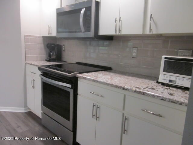 2068 Brigadier Drive Spring Hill, FL 34608 - Photo 8 of 39 IMG_1281