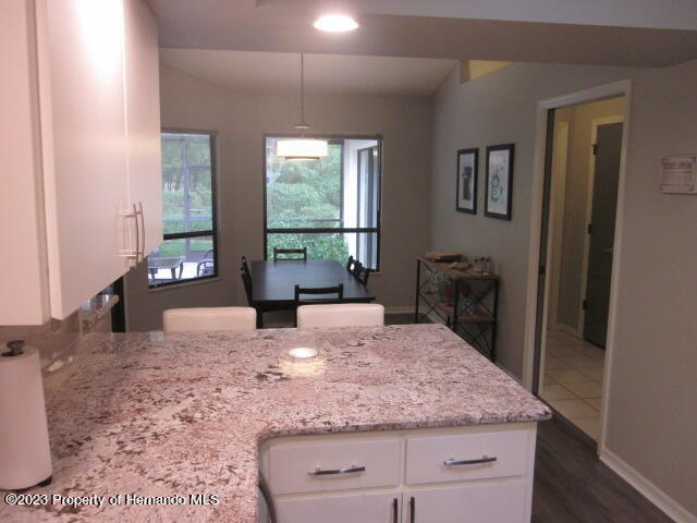 2068 Brigadier Drive Spring Hill, FL 34608 - Photo 9 of 39 IMG_1279