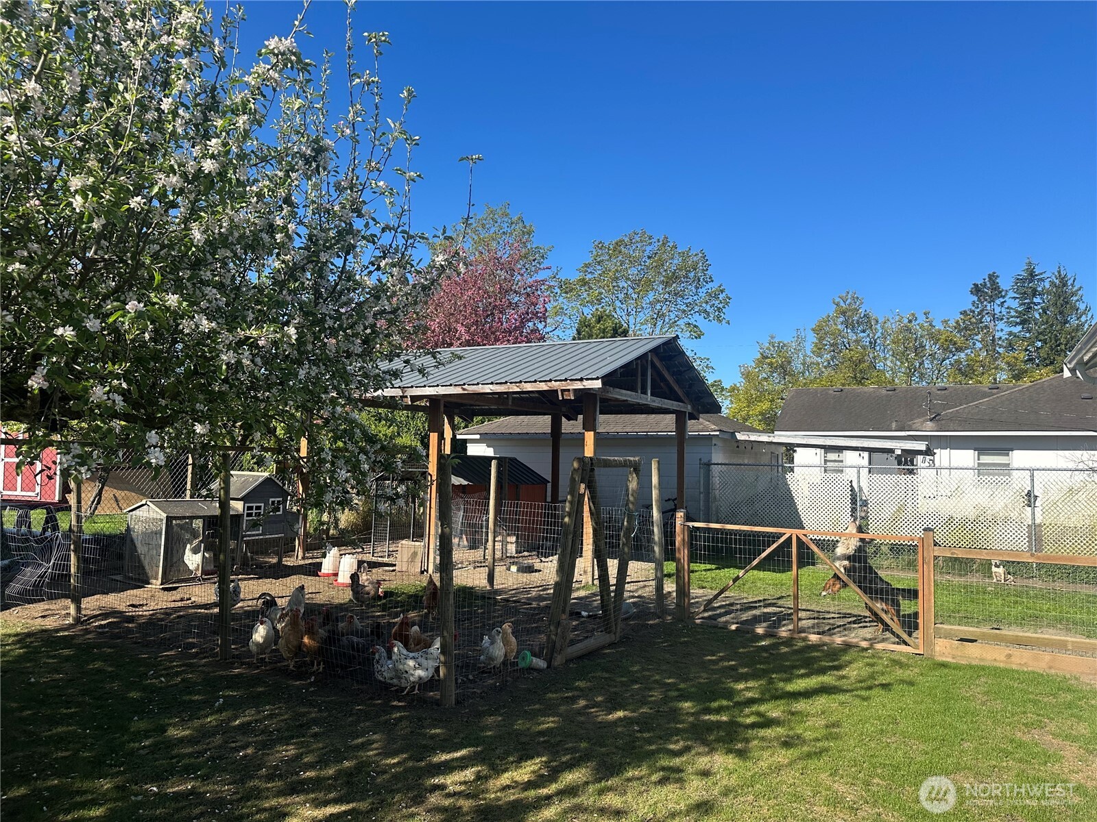 308 Baker Street Everson, WA 98247 - Photo 23 of 24