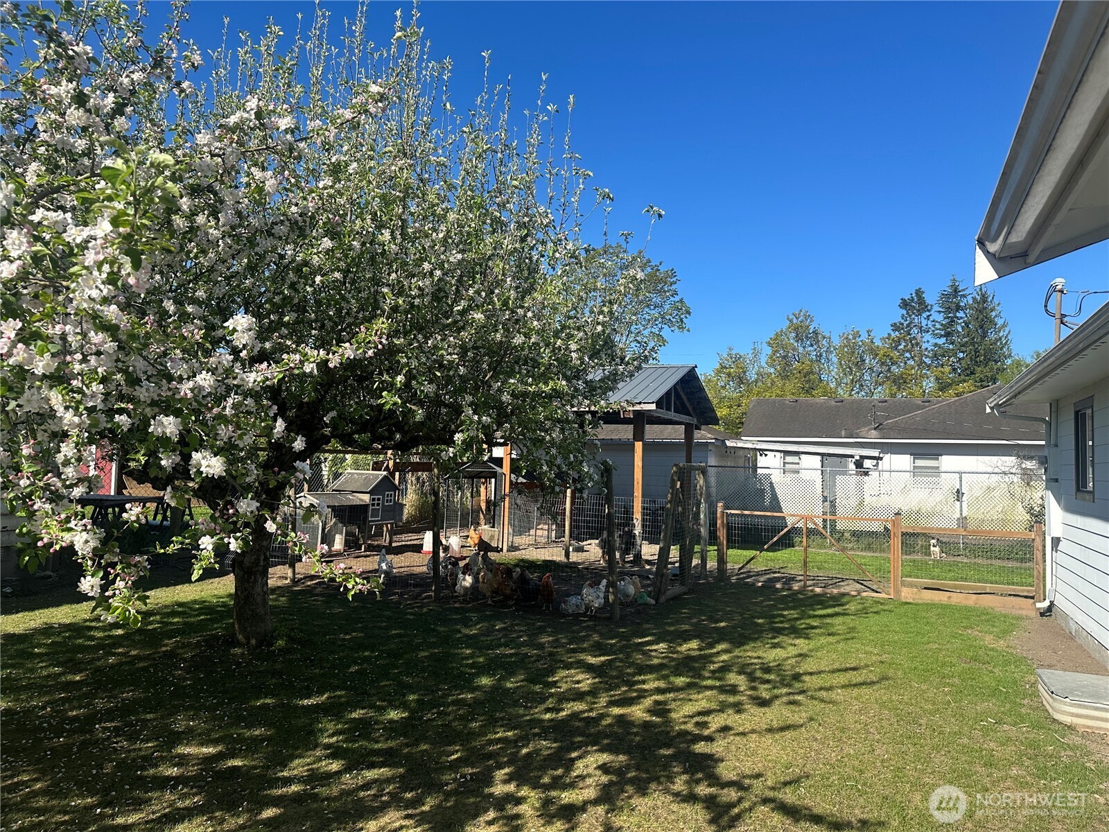 308 Baker Street Everson, WA 98247 - Photo 24 of 24