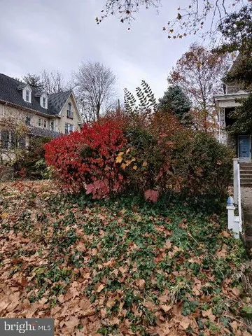 a view of a bunch of flowers and trees