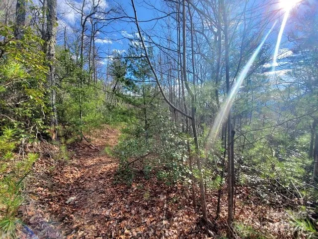 $25,000 | Tbd Elkins Road, Bakersville, NC 28705
