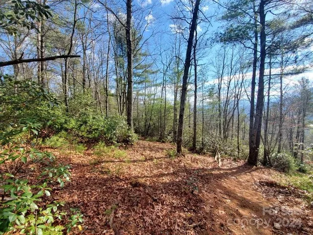 $25,000 | Tbd Elkins Road, Bakersville, NC 28705