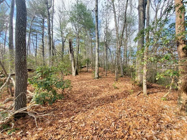 $25,000 | Tbd Elkins Road, Bakersville, NC 28705