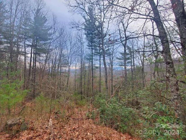 $25,000 | Tbd Elkins Road, Bakersville, NC 28705