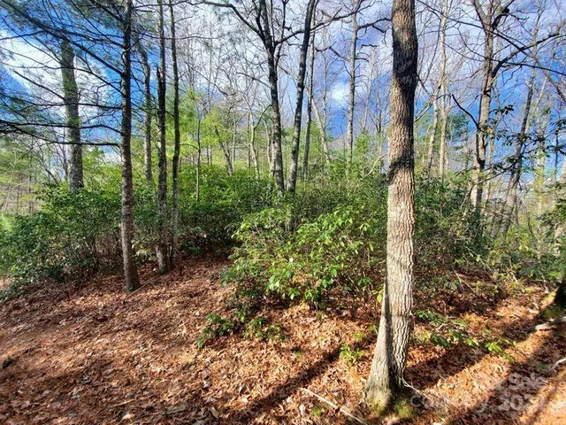 $25,000 | Tbd Elkins Road, Bakersville, NC 28705