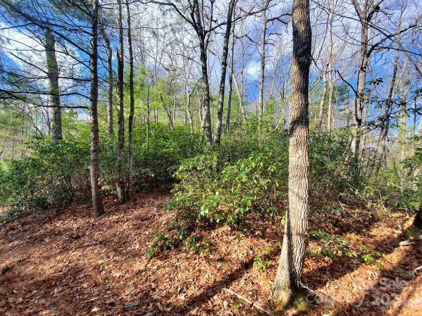 Tbd Elkins Road, Unit 22 Bakersville, NC 28705 - Photo 6 of 7