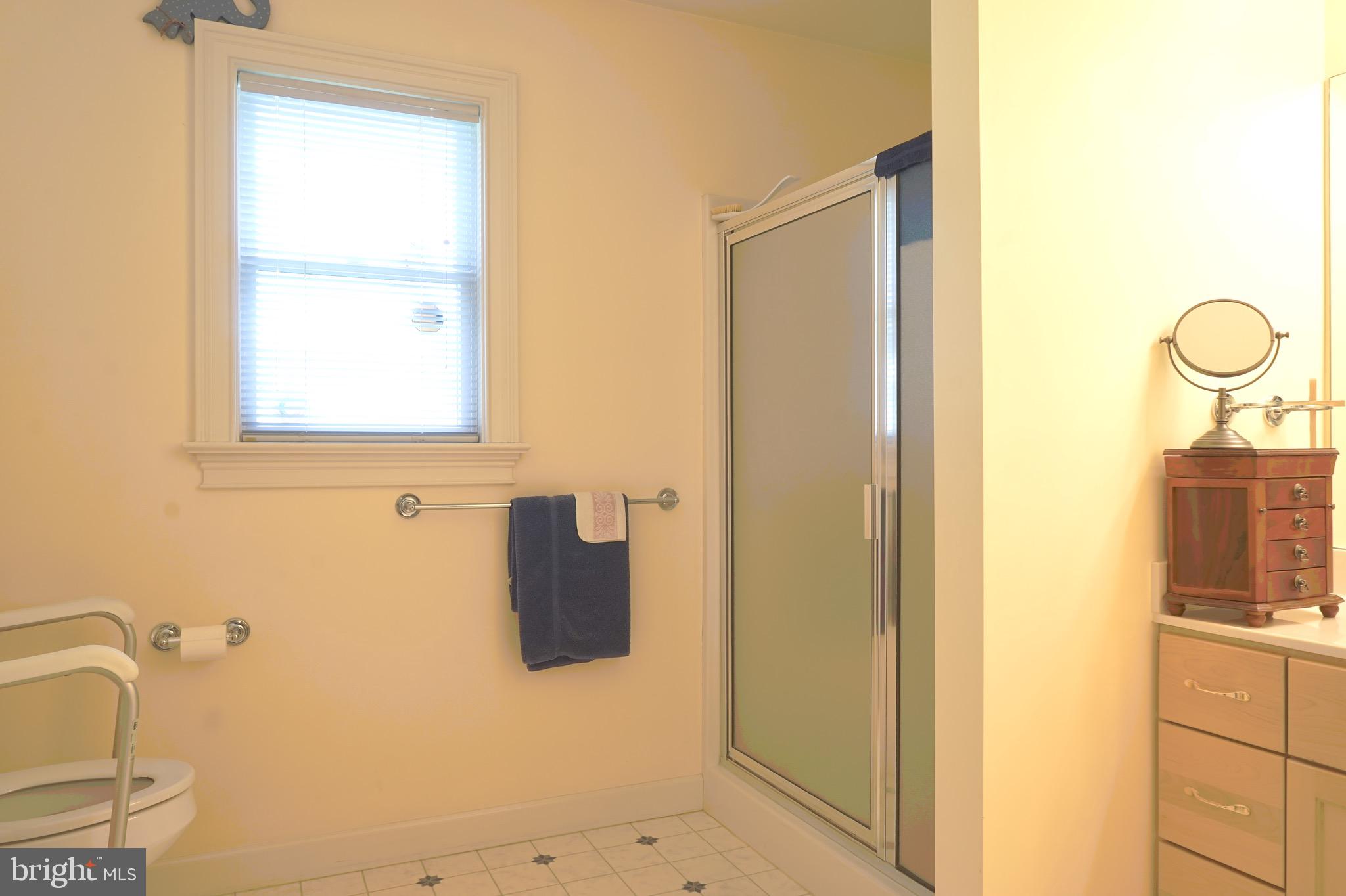 47 Newport Road Gap, PA 17527 - Photo 18 of 25 Master bath with a stall shower.