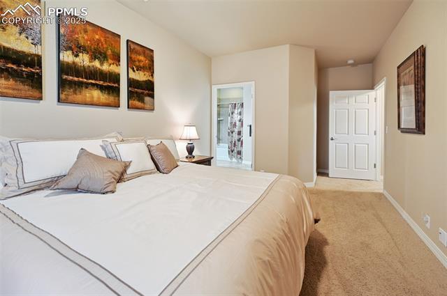 1918 Bashley Road Monument, CO 80132 - Photo 31 of 48 Bedroom with light colored carpet and baseboards
