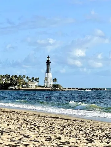 a view of a yard from a window