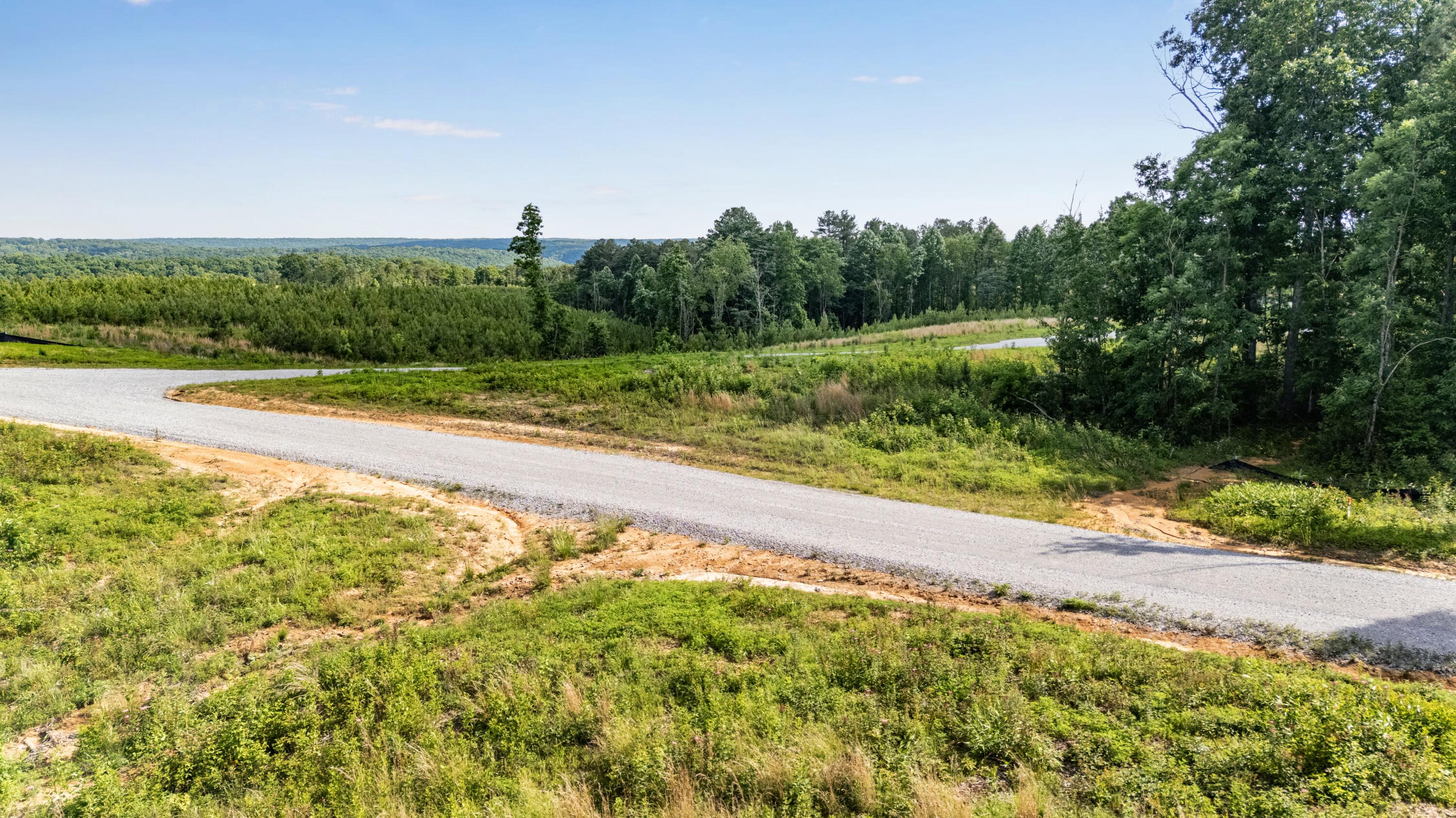 0 Saddleback Road, Unit 48 Dunlap, TN 37327 - Photo 12 of 21 DJI_20260602172159_0213_D-HDR