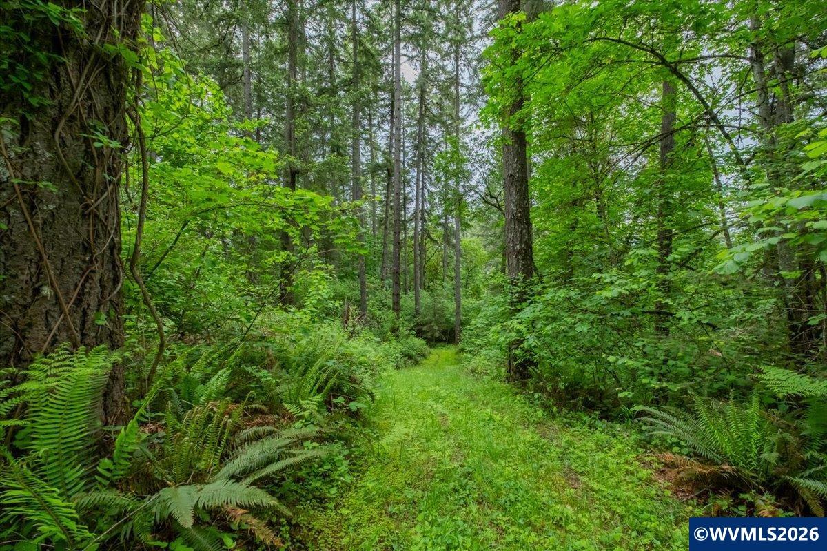 0057485 Next To 40587 Baptist Church Road Lebanon, OR 97355 - Photo 16 of 38