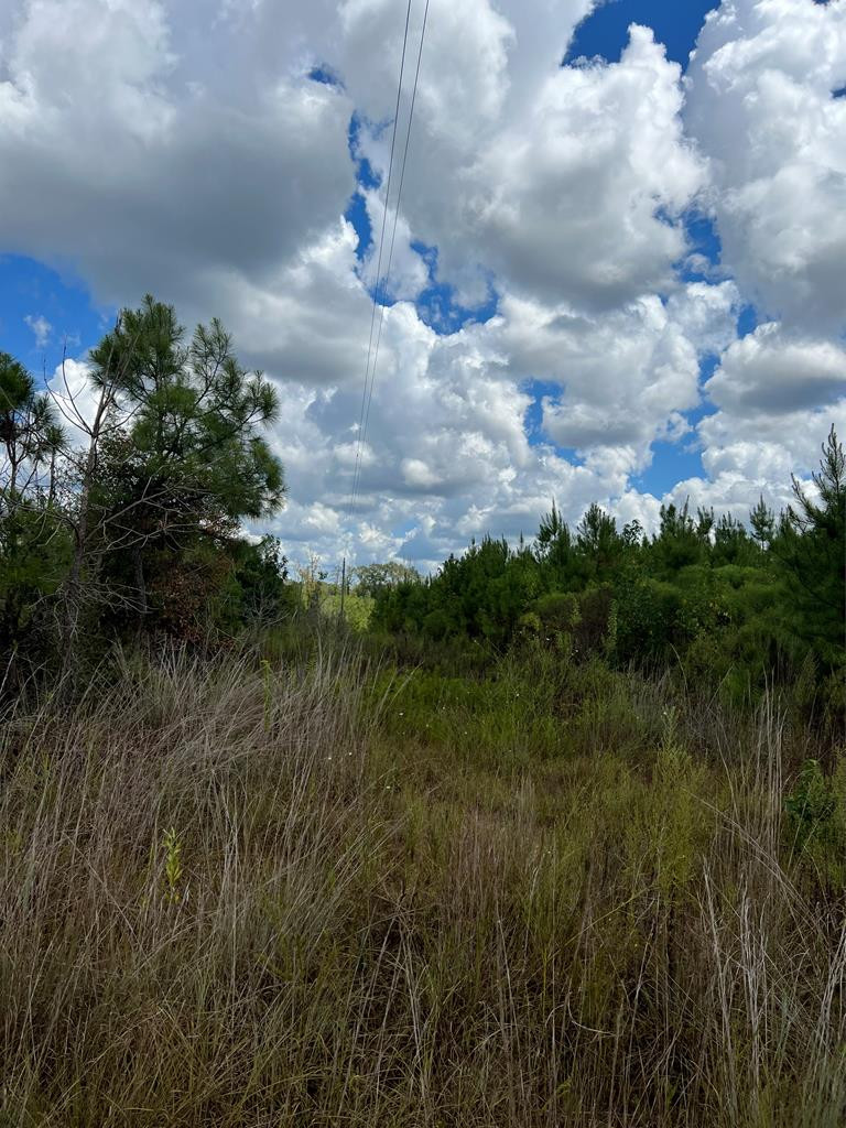 0 Durr Case Road Brookhaven, MS 39601 - Photo 1 of 18 Main View