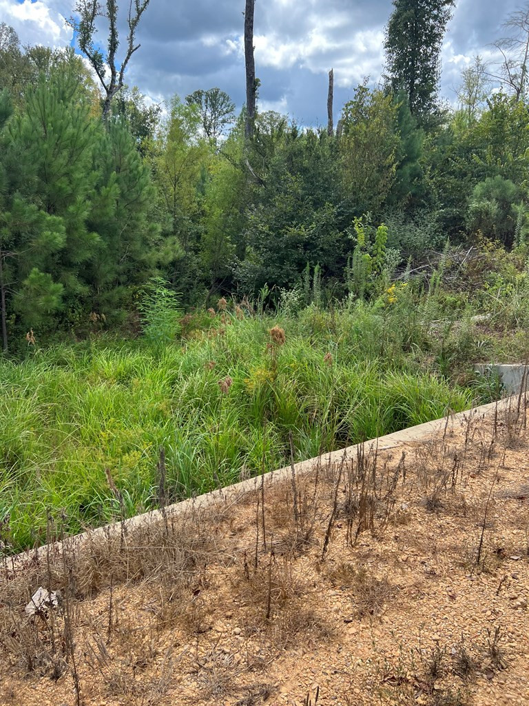 0 Durr Case Road Brookhaven, MS 39601 - Photo 3 of 18 Photo 3