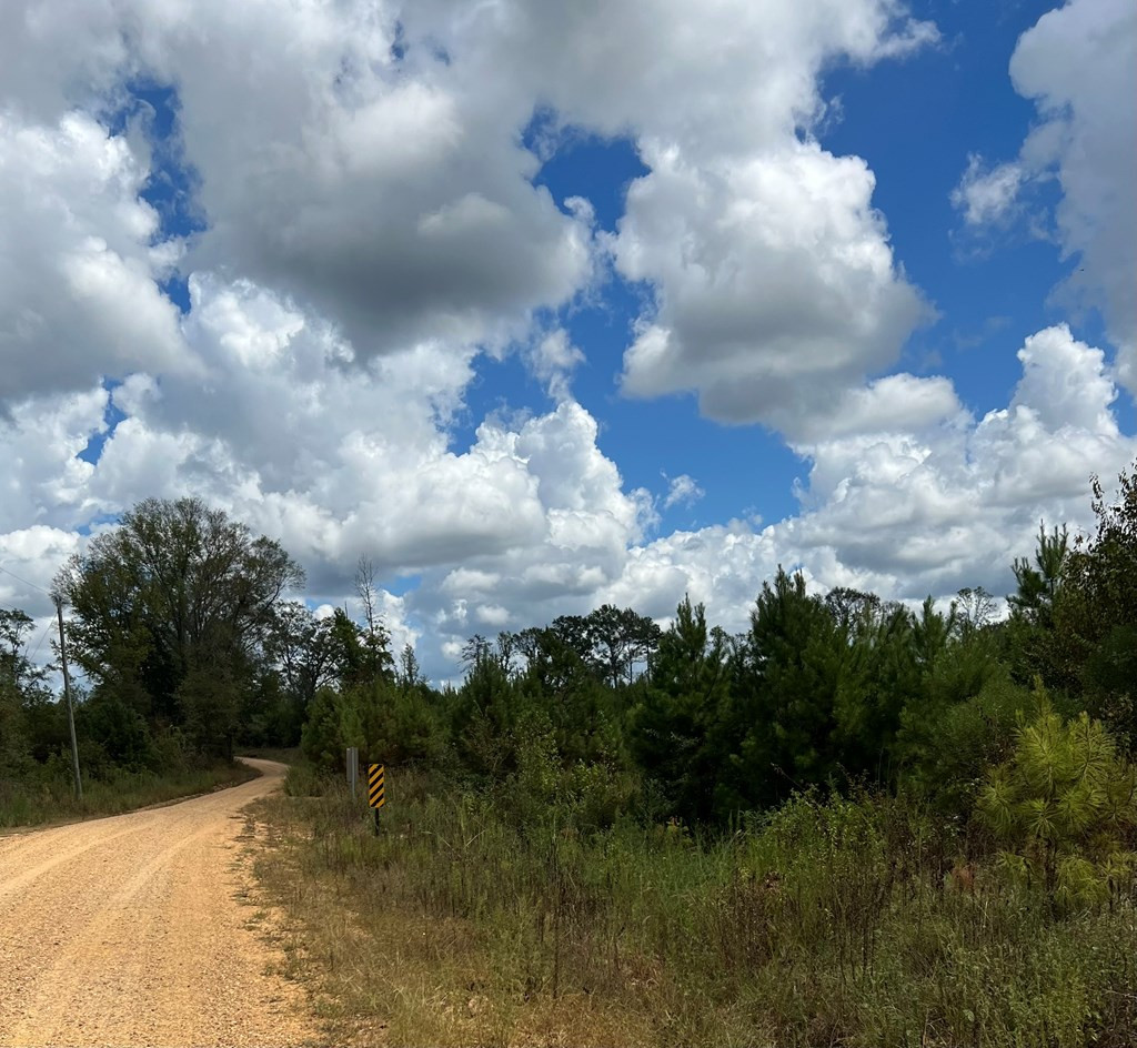 0 Durr Case Road Brookhaven, MS 39601 - Photo 6 of 18 Photo 6