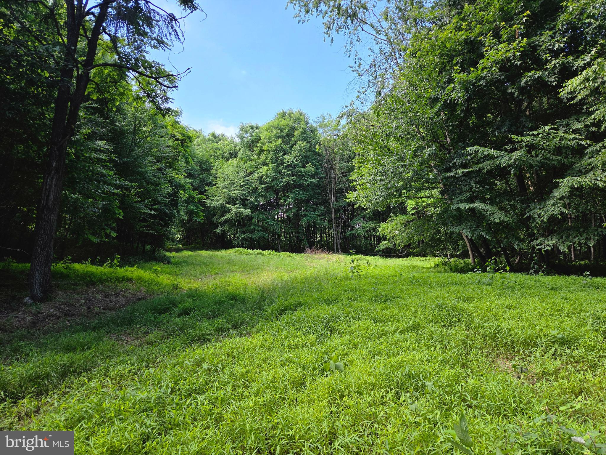 0 Carlisle Gap Road Lewistown, PA 17044 - Photo 29 of 53