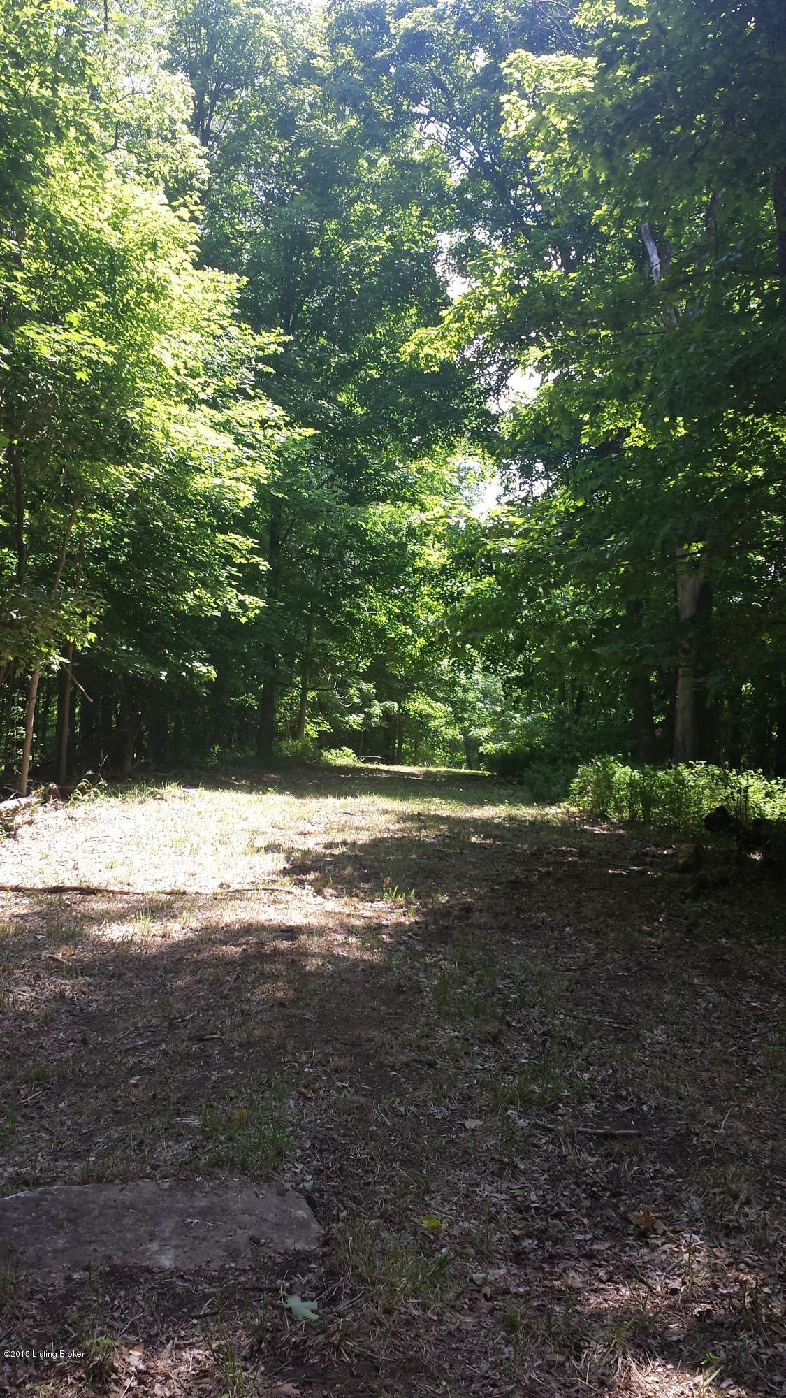 Interior road access within upper area of the property