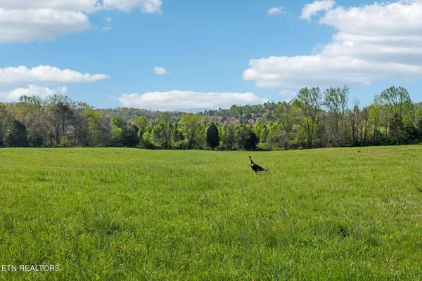 $2,095,000 | 436 Thorngrove Pike, Kodak, TN 37764